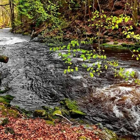 Cerveny Stylovy 3 Km Od Male Skaly * Koberovy