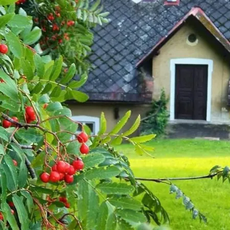 Cerveny Stylovy 3 Km Od Male Skaly Lejlighed Koberovy